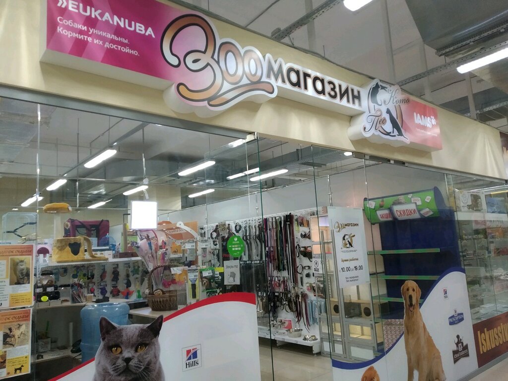 КотоПёс